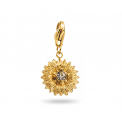 CHARM